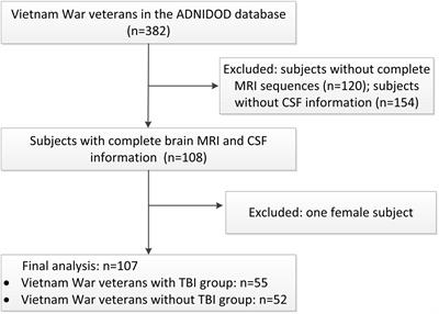 MRI-Visible Perivascular Spaces Associated With Cognitive Impairment in Military Veterans With Traumatic Brain Injury Mediated by CSF P-Tau